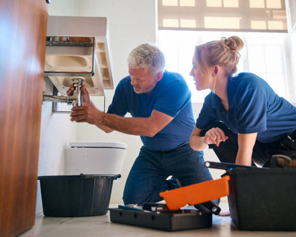 Best Water Leak Repair  in Buena Vista, CO